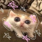 LilkaMilka67