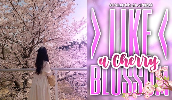 Like a Cherry Blossom | #1