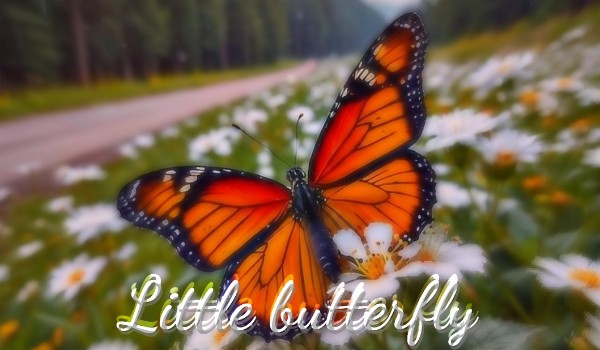 Little butterfly