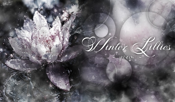 Winter Lillies • poem •
