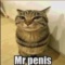 general_syfilis