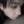 Frytka._.Chana143
