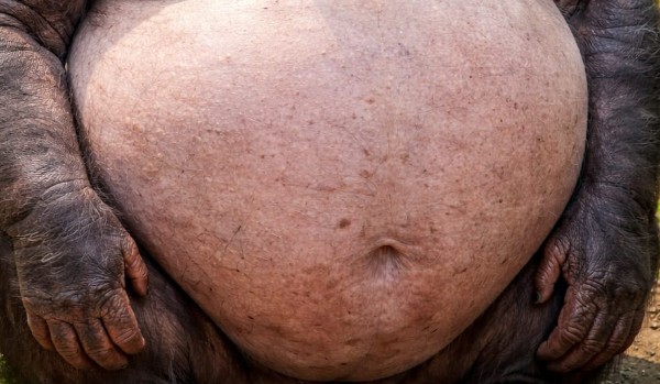 Zgadnę czy jest*ś grub*