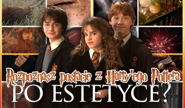 Rozpoznasz postacie z Harry’ego Pottera po estetyce?