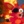 polski_foxy