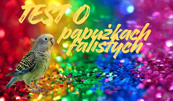Test o papużkach falistych