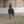 a_equinee