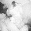DusiaDog