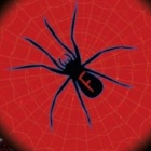 Spiderfilip777