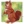 Czerwona_Jagoda