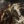 Alexander_the.Great
