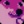 msfnowoczesny15