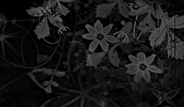 Graphic Shop (otwarte)