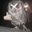 piwson