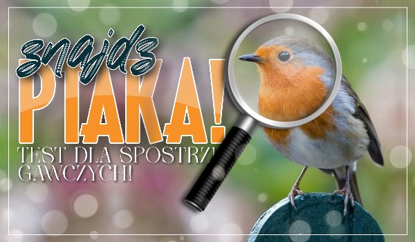 Znajdź ptaka!