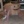 _Patot_
