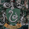 The_prinvess_of_slytherin