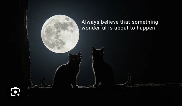 •The end|Chapter.02 •