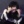 BangChanWTwojejSzafie