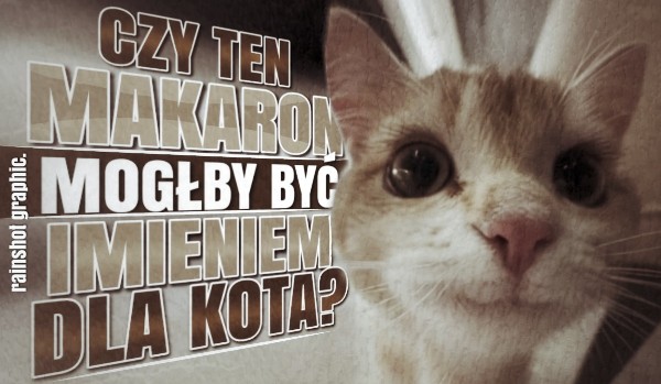 Czy nazwa tego rodzaju makaronu mogłaby posłużyć jako imię dla kota?