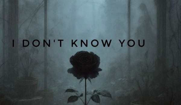 I don’t know you| poem