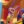 -liptonek-