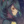 -Izuki-