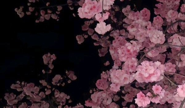 Babyflower|Projekt trainee|Zapisy