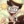 Vincent.Whittman