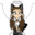 Molly_Wolf