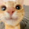 Toby_Batlight