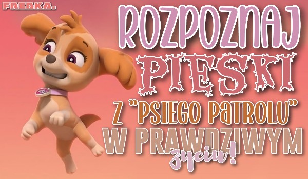 Rozpoznaj pieski z Psiego Patrolu w prawdziwym życiu!