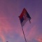 ur_fav_srbija