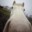 Marti_Showjumper