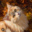 Cat_Official