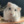 Hamsterka3000