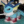 TrenerkaBasniowychPokemonow