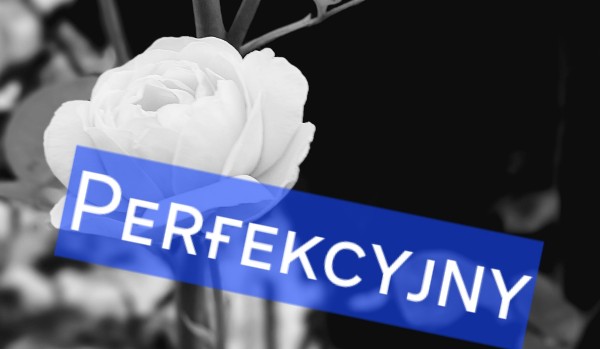Perfekcyjny