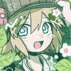 Aster_neko