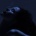 Foxy_offivial