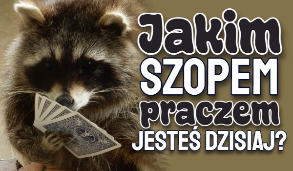 Jakim szopem praczem jesteś dzisiaj?