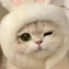 Ala._.miaumiau
