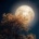 MoonX_
