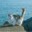 Czerwona_Jagoda