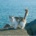 Czerwona_Jagoda