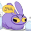 Czarny_Kot7