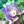 rei_xx