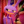 Helter__
