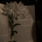 Mymomiskindahomeless