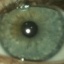 sigma.elo320